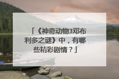《神奇动物3邓布利多之谜》中，有哪些精彩剧情？