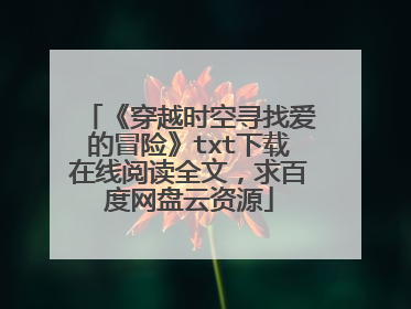 《穿越时空寻找爱的冒险》txt下载在线阅读全文,求百度网盘云资源