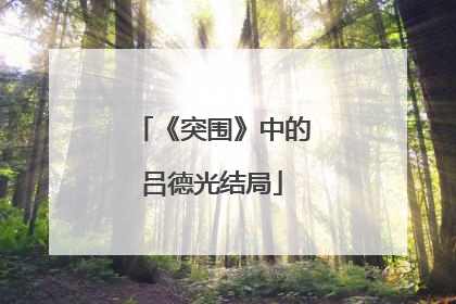 《突围》中的吕德光结局