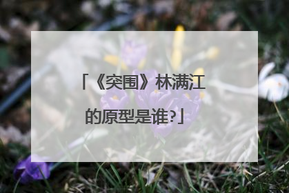 《突围》林满江的原型是谁?