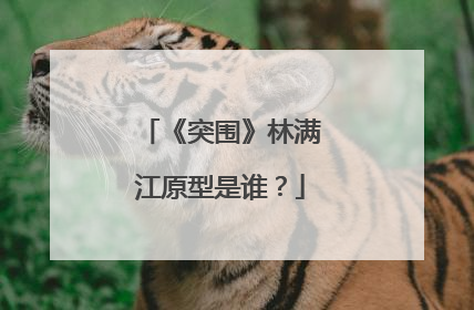 《突围》林满江原型是谁？