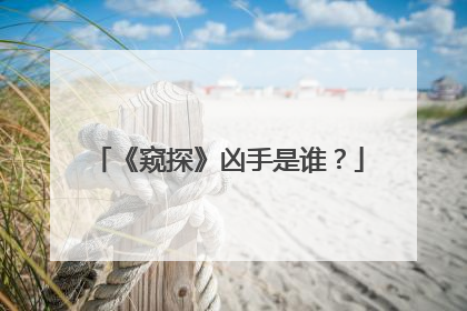 《窥探》凶手是谁?