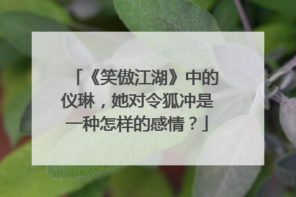 《笑傲江湖》中的仪琳,她对令狐冲是一种怎样的感情?