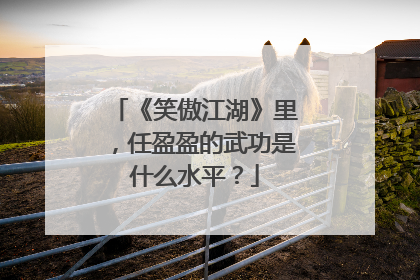 《笑傲江湖》里,任盈盈的武功是什么水平?