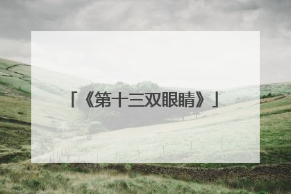 《第十三双眼睛》