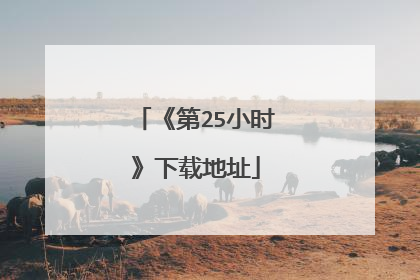 《第25小时》下载地址
