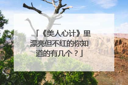 《美人心计》里漂亮但不红的你知道的有几个?