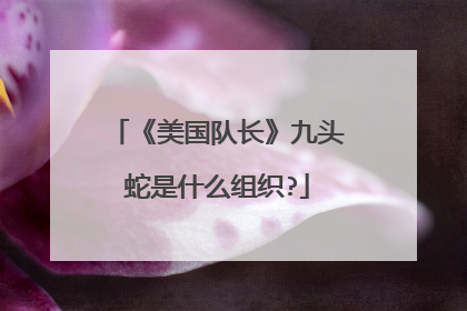 《美国队长》九头蛇是什么组织?