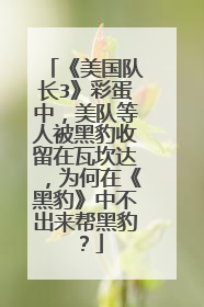 《美国队长3》彩蛋中，美队等人被黑豹收留在瓦坎达，为何在《黑豹》中不出来帮黑豹？