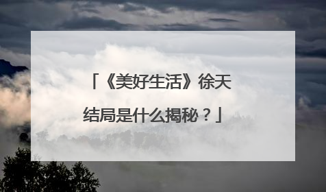 《美好生活》徐天结局是什么揭秘？