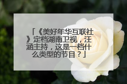 《美好年华互联社》定档湖南卫视，汪涵主持，这是一档什么类型的节目？