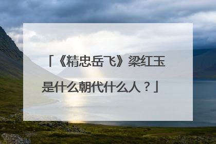 《精忠岳飞》梁红玉是什么朝代什么人?