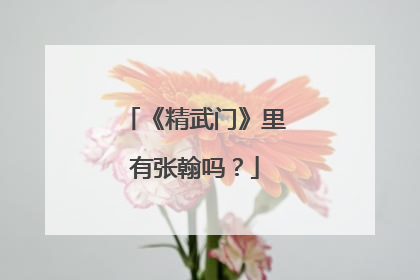 《精武门》里有张翰吗?