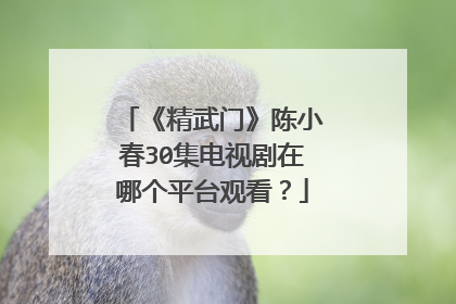 《精武门》陈小春30集电视剧在哪个平台观看?