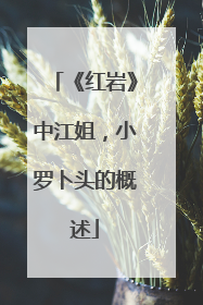 《红岩》中江姐,小罗卜头的概述