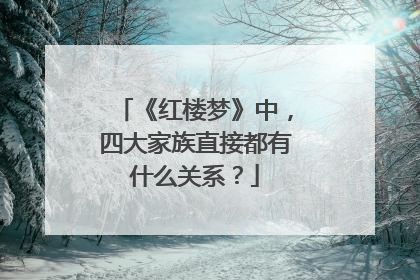 《红楼梦》中，四大家族直接都有什么关系？
