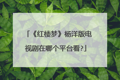 《红楼梦》杨洋版电视剧在哪个平台看?