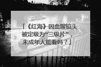 《红海》因血腥镜头被定级为“三级片”,未成年人能看吗?