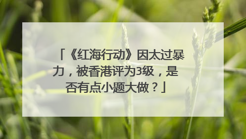 《红海行动》因太过暴力,被香港评为3级,是否有点小题大做?