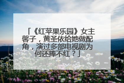 《红苹果乐园》女主馨子,黄圣依给她做配角,演过多部电视剧为何还捧不红?