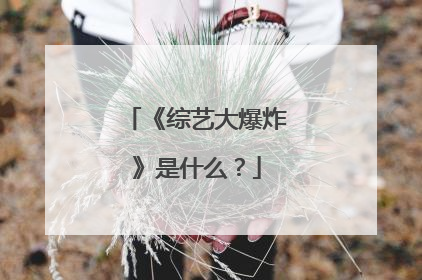 《综艺大爆炸》是什么?