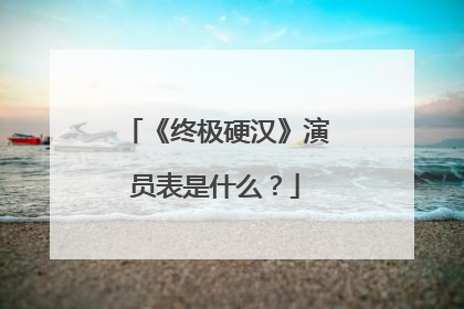 《终极硬汉》演员表是什么？