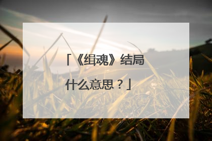 《缉魂》结局什么意思？