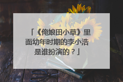 《俺娘田小草》里面幼年时期的李小浩是谁扮演的?