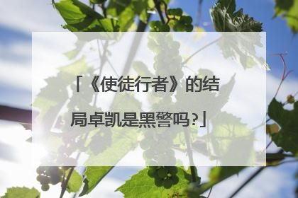 《使徒行者》的结局卓凯是黑警吗?