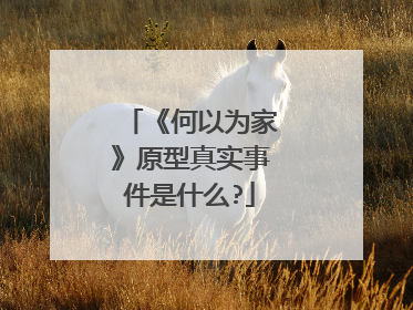 《何以为家》原型真实事件是什么?