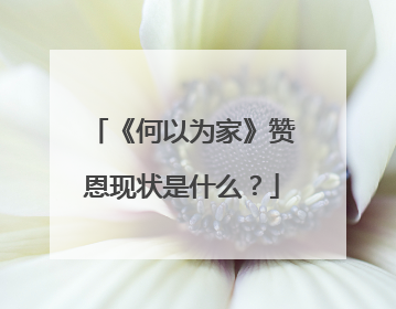 《何以为家》赞恩现状是什么？