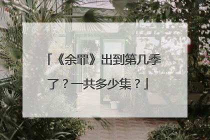 《余罪》出到第几季了？一共多少集？