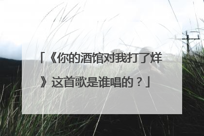 《你的酒馆对我打了烊》这首歌是谁唱的?
