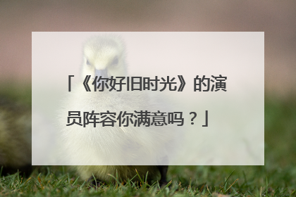 《你好旧时光》的演员阵容你满意吗?