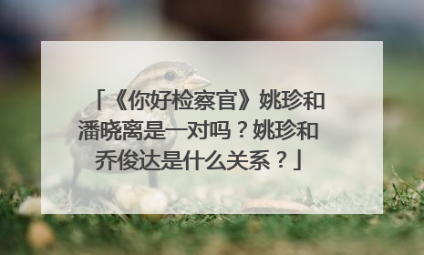《你好检察官》姚珍和潘晓离是一对吗?姚珍和乔俊达是什么关系?