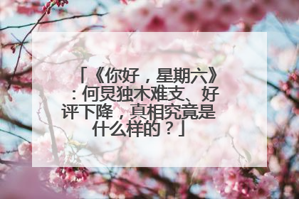 《你好，星期六》：何炅独木难支、好评下降，真相究竟是什么样的？