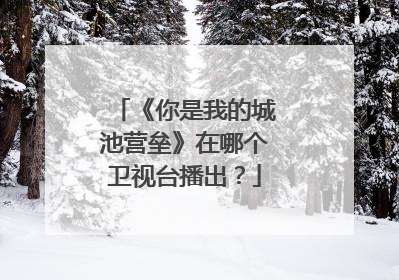 《你是我的城池营垒》在哪个卫视台播出?