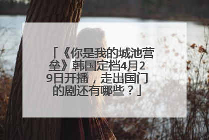 《你是我的城池营垒》韩国定档4月29日开播，走出国门的剧还有哪些？