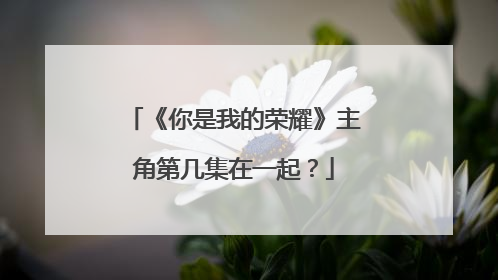 《你是我的荣耀》主角第几集在一起?