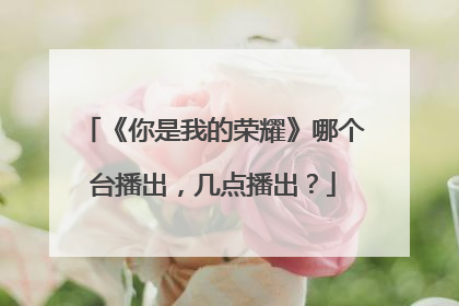 《你是我的荣耀》哪个台播出,几点播出?
