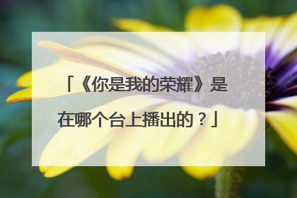 《你是我的荣耀》是在哪个台上播出的?