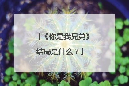 《你是我兄弟》结局是什么？