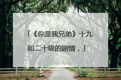 《你是我兄弟》十九和二十级的剧情,