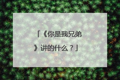 《你是我兄弟》讲的什么?