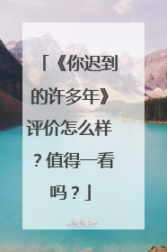 《你迟到的许多年》评价怎么样?值得一看吗?