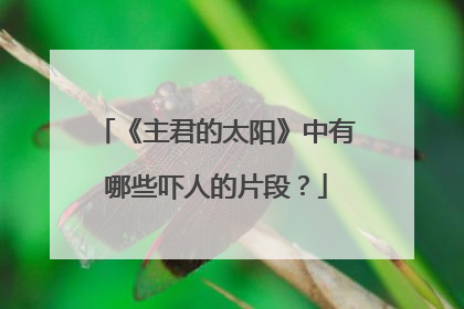 《主君的太阳》中有哪些吓人的片段?