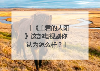 《主君的太阳》这部电视剧你认为怎么样？