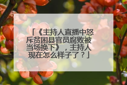 《主持人直播中怒斥贫困县官员腐败被当场换下》，主持人现在怎么样子了？