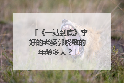 《一站到底》李好的老婆郭晓敏的年龄多大？