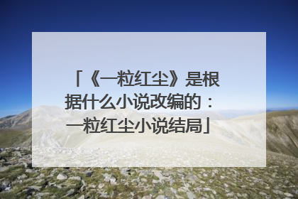 《一粒红尘》是根据什么小说改编的:一粒红尘小说结局
